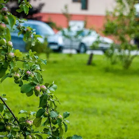 Laimnieki * Augšciems